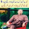 Pakistani's profile picture