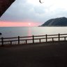 極蛇 profil fotoğrafı