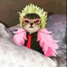 Whiskas 的头像