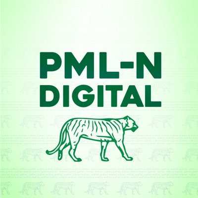 pmlndigitalpk's profile picture