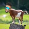 MakePhinsRunAgain The real Mike Dixon's profile picture