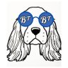 Profilbild von bookerteensmag