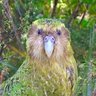 おもち profil fotoğrafı