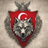 🇹🇷BÖRÜ🇹🇷's profile picture