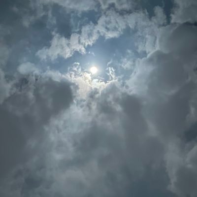 longxue_1's profile picture
