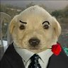 Perrolol's profile picture