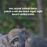 ANU profil fotoğrafı