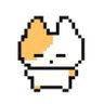 꽁시's profile picture
