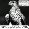 •?((¯°·._.•الحر النداوي •._.·°¯))؟• 的头像