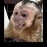 Colocho profil fotoğrafı