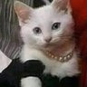 Aro profil fotoğrafı