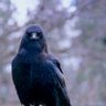 Фото профиля Jeffrey Porter