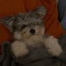 Profilbild von flip em philly