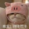 無名 的头像
