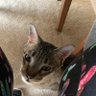 Cindy profil fotoğrafı
