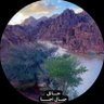 ابو منصور 的头像