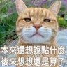 嘟挖嘟挖嘟's profile picture