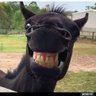Johnsky's profile picture