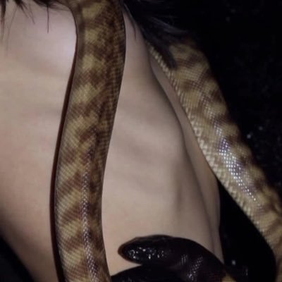 QdoublesOuOmc's profile picture