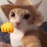 aLEX's profile picture