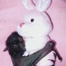 Profilbild von *. ☆ *. Cindy ✧ .*.