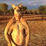 Фото профиля Roger (🦘,🦘)