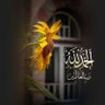 Фото профиля ابوزكريا ال