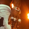 Kwakudubai_official's profile picture