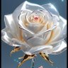 Profilbild von 🌷🌷غداً أفضل بإذن الله 🤲🤲