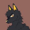 Ari, Wolf professional's profile picture