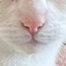 Profilbild von ぱんと