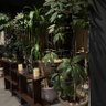 Фото профиля أمل