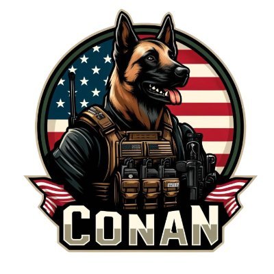 Conan_erc_20's profile picture