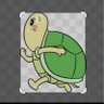 SunflowerTurtle's profile picture