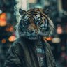 Bas Farano 的头像