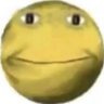 Shiting๐'s profile picture