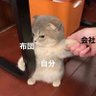 Profilbild von ちいかわ