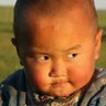 🇲🇳 Монгол хүү 🧑💻's profile picture
