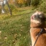 That Star𝝠tlas Life's profile picture
