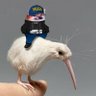 Profilbild von Callsign Winkus Cardi 🇳🇿🇺🇦