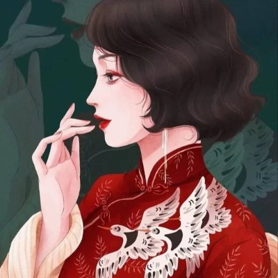 meihuajiejie's profile picture