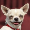 jatakatalesofmodernworld's profile picture