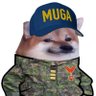 Hakki K 🏴‍☠️🇫🇮🇪🇺🇺🇦🦝's profile picture