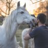 このまま生きる profil fotoğrafı