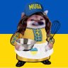 🇳🇿KIWI CAKEY BAKEY FELLA🇺🇦 的头像