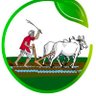 Bhagwan Raj's profile picture