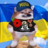 Profilbild von Mr. TINSON ꑭ 🏴‍☠️