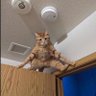 . profil fotoğrafı