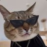 liangliang's profile picture