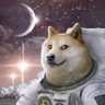 Mr. Doge Style's profile picture